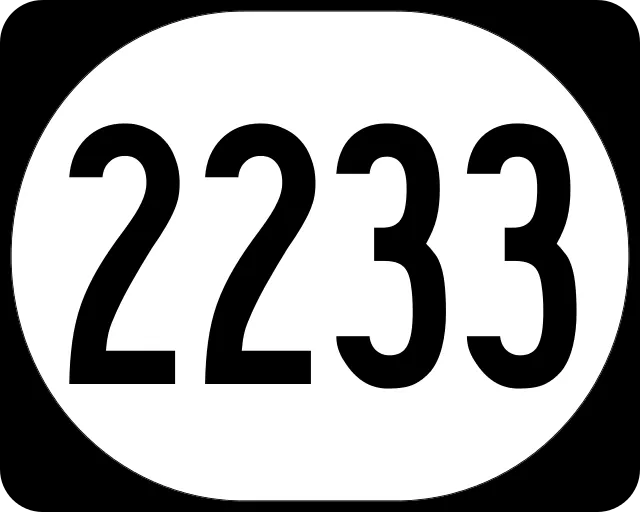 2233win